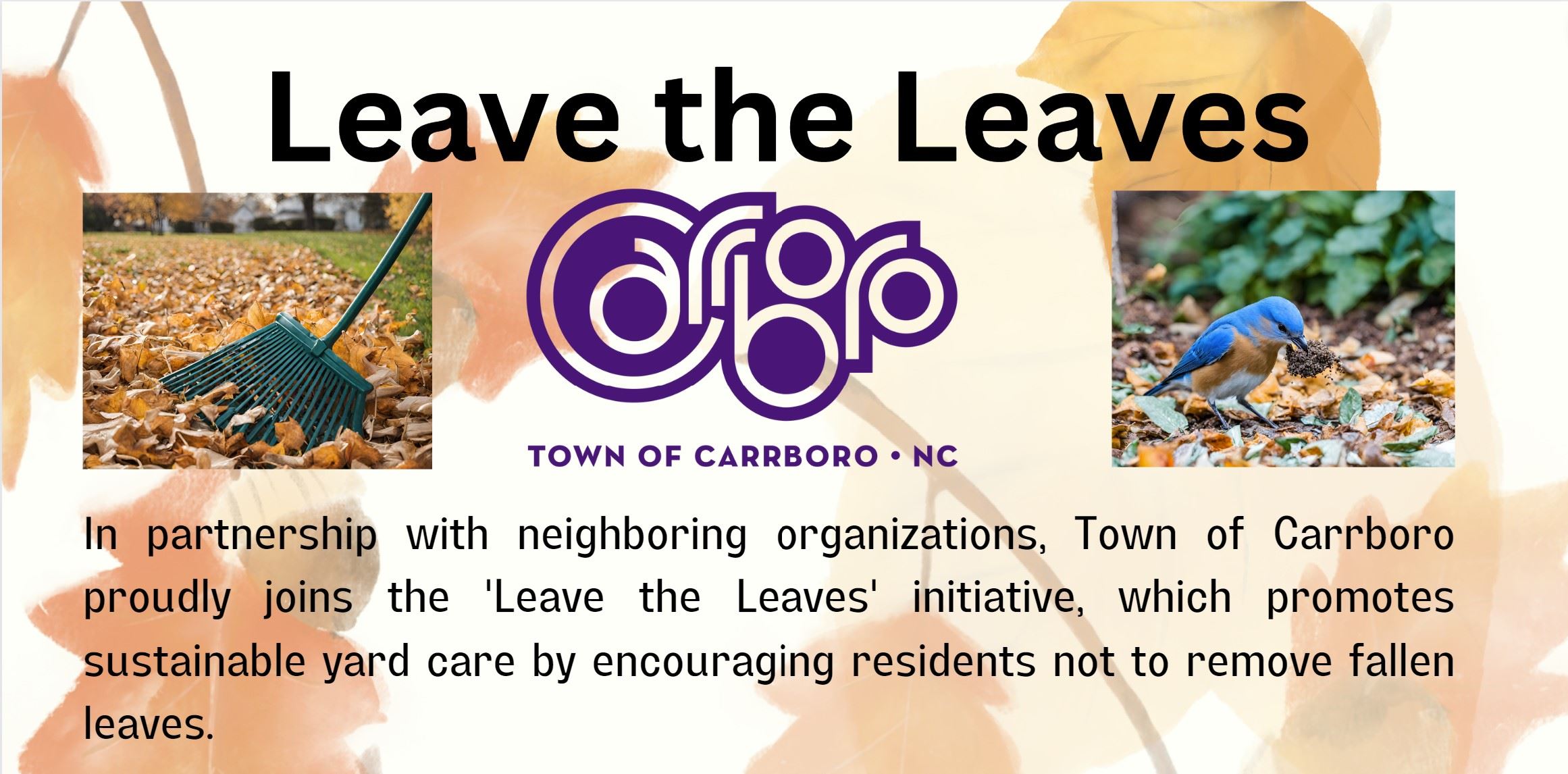 LeaveYourLeavesBanner