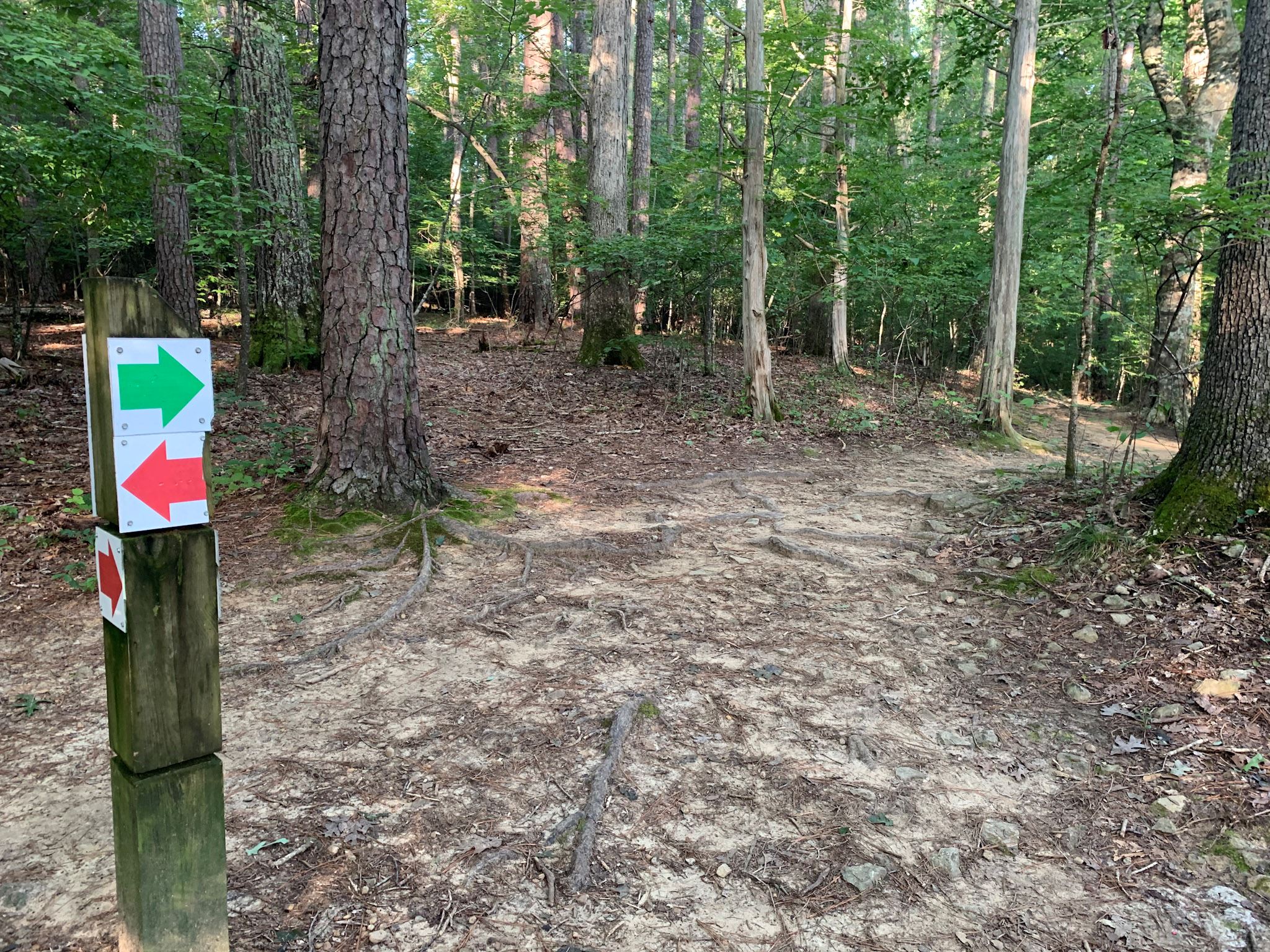 Trail at Adams Tract