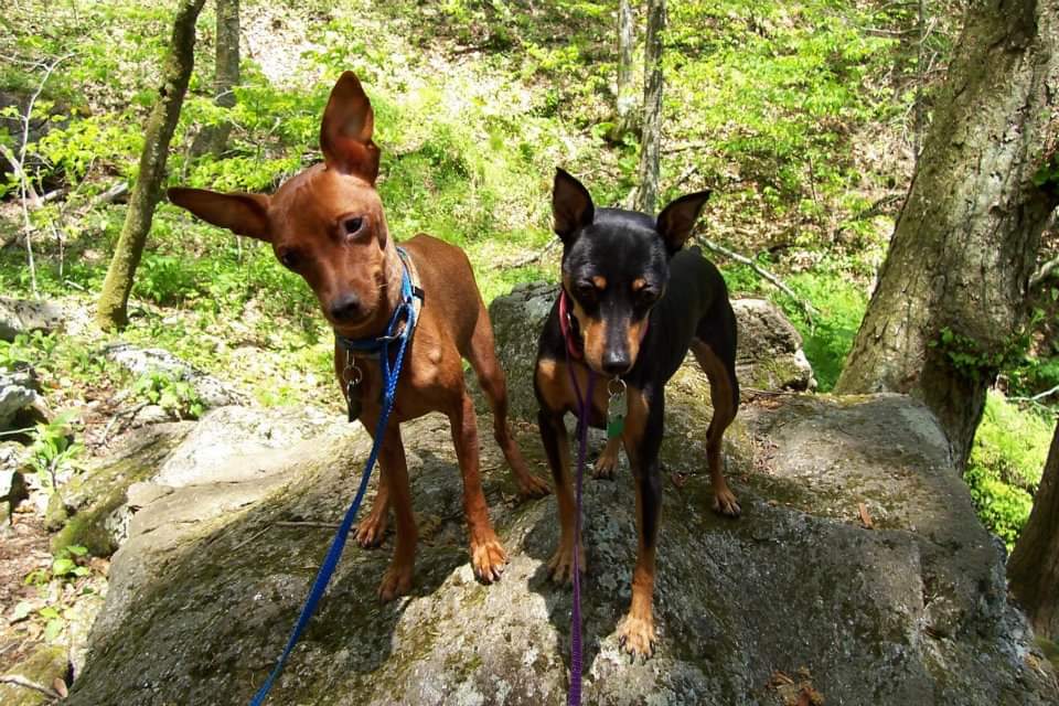 FB_IMG_1582722418053